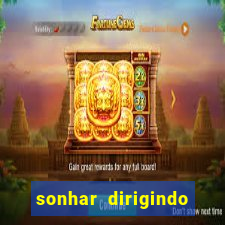 sonhar dirigindo carro jogo do bicho